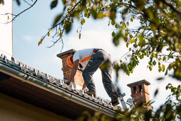 Best Gutter Installation and Repair  in Lexington, WA